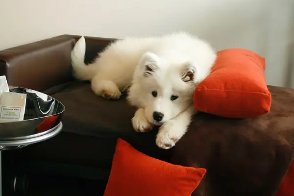 Inn at Laurel Point 4.0 star property